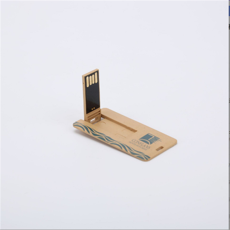 Promotional Flash Drive BG-EU505