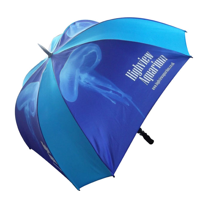 Promotional Umbrella BG-RA908