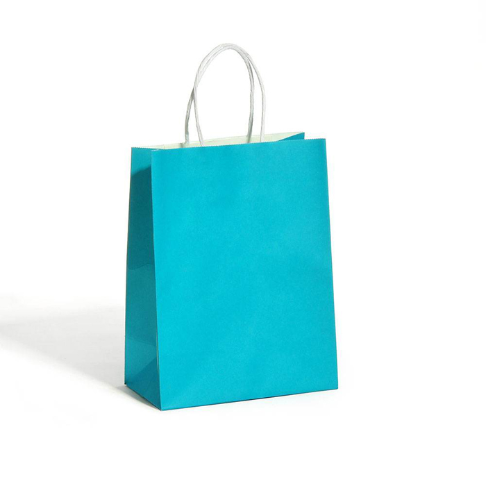 Paper Bag BG-PA202