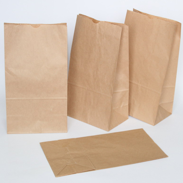 Paper Bag BG-PA203